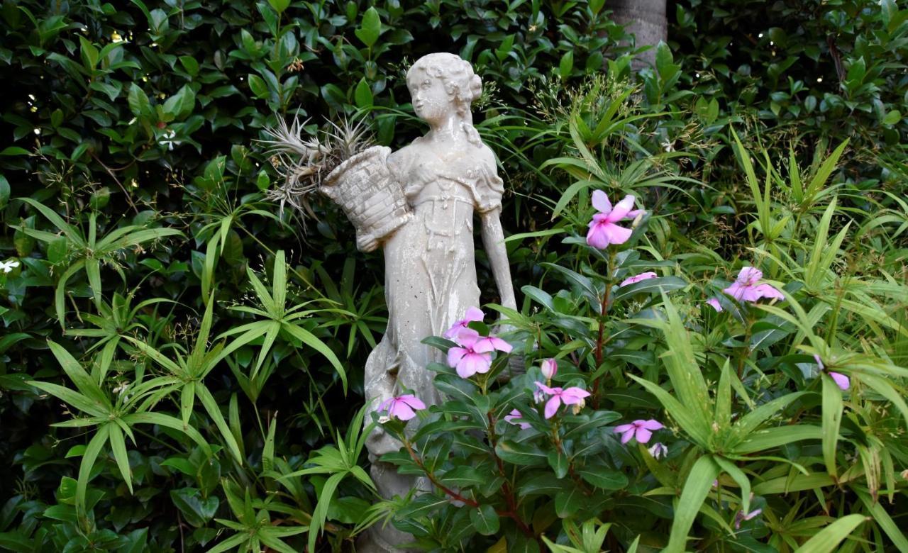 Lamor Guest House Middelburg  Εξωτερικό φωτογραφία